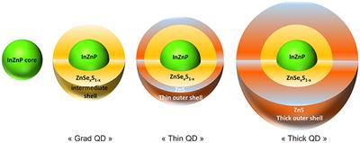 Evaluation of the Dermal Toxicity of InZnP Quantum Dots Before and After Accelerated Weathering: Toward a Safer-By-Design Strategy